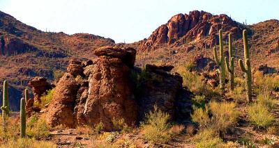 Tucson Mountain Park