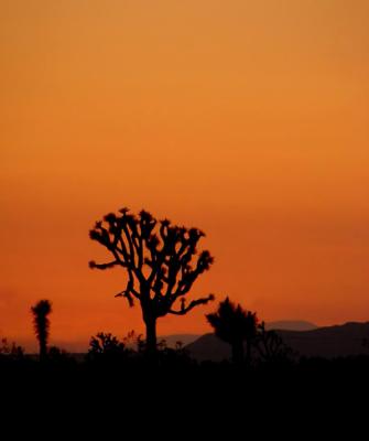 Sunset, Adelanto