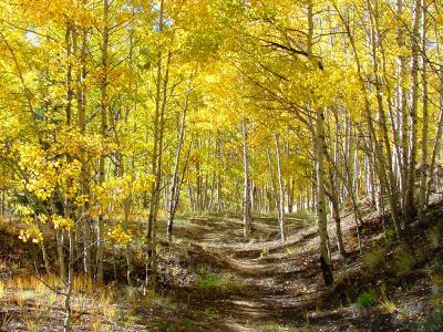 South Clear Creek Falls 3