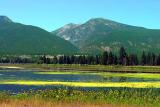 Missoula Wildlife Area
