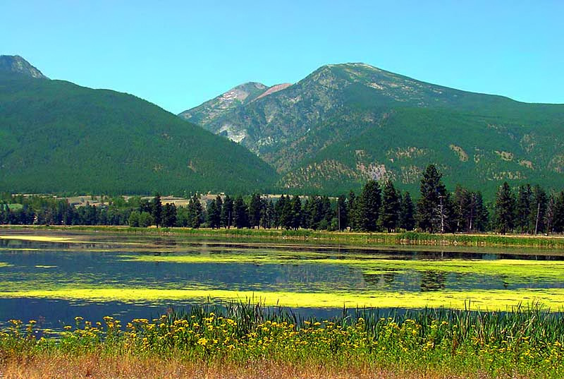 Missoula Wildlife Area