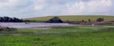 Flooded Duck Blind