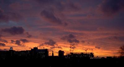 DSC_0969.jpg
