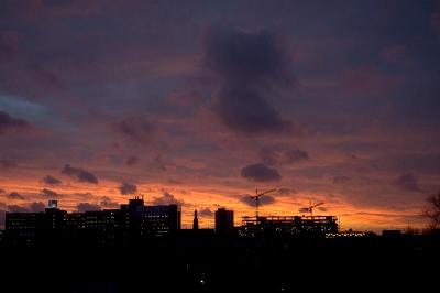 DSC_0971.jpg