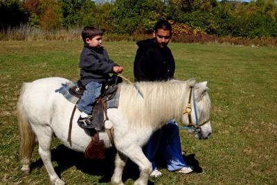 Fall fest Pony Ride