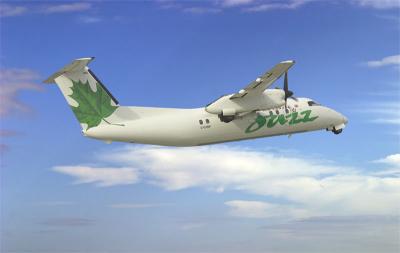 u13/ssim/medium/38563054.Dash8.jpg