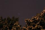 Comet and Pleiades Through Fir Trees