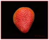 Strawberry 05a.jpg