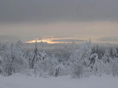 View to the Oslo fjord from Frognerseteren