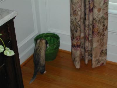 DSCN0118.jpg