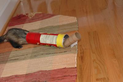 DSC_0015.jpg