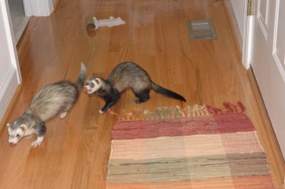 DSC_0004.jpg