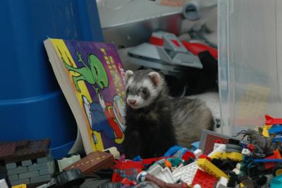DSC_0046.jpg