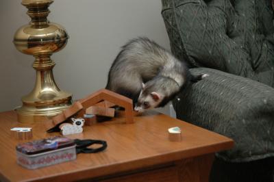 DSC_0131.jpg