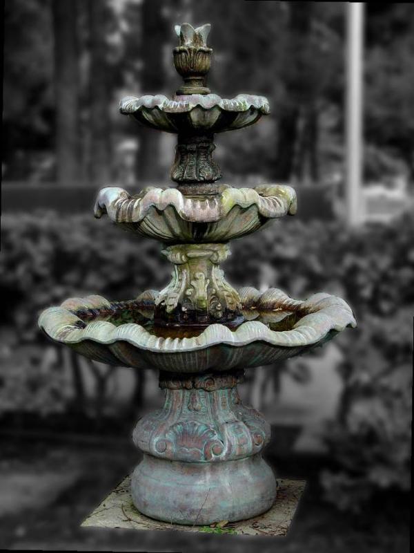 Colored Past