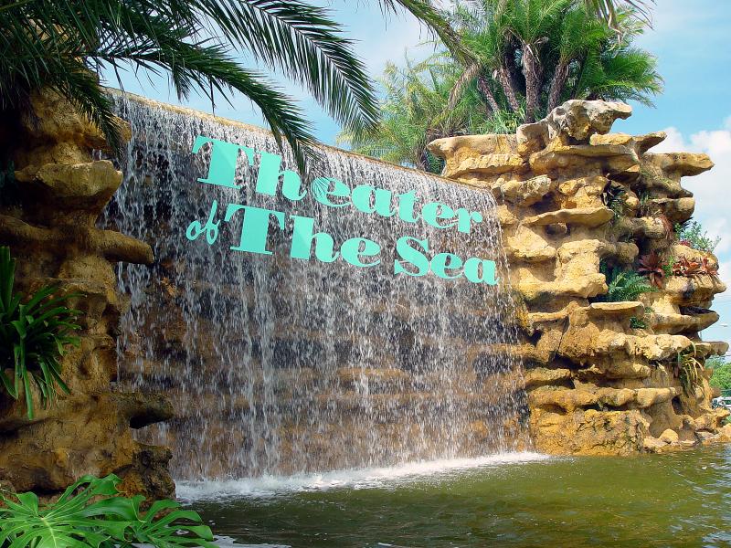 Waterfall by the Sea by Danny Doris