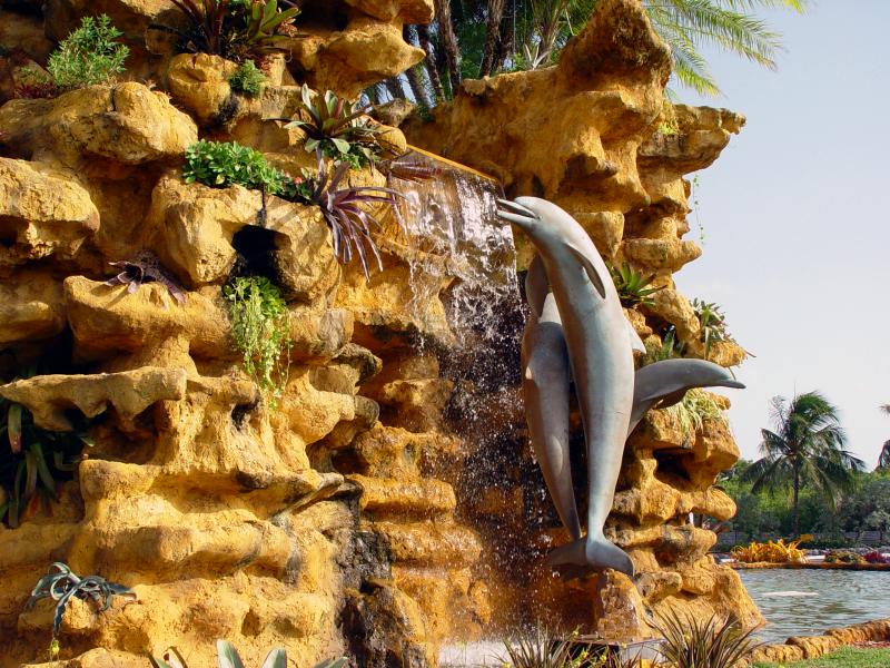 Dolphinfall by Danny Doris