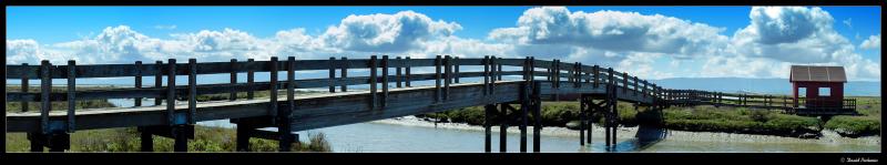 <B>Wooden Bridge</B><BR><FONT size=1>by David Pichevin</FONT>
