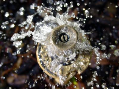 *Circle of Water by Debbi in California