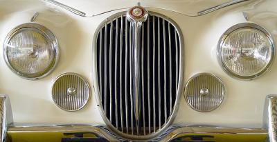 Jaguar, too late for 51? by Nir Alon