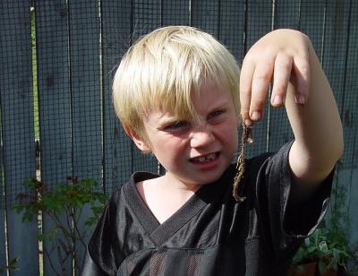 Eeew....who said worms were fun    by canadian_ann