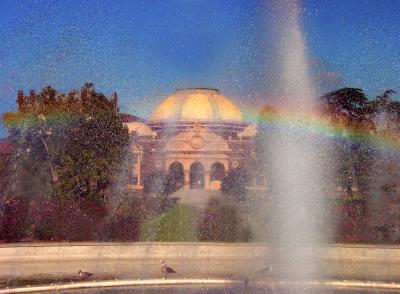 9thRainbow in the Rose Garden