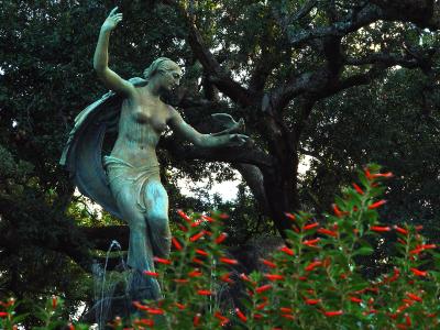 Audubon Park #2by Jason Bornstein