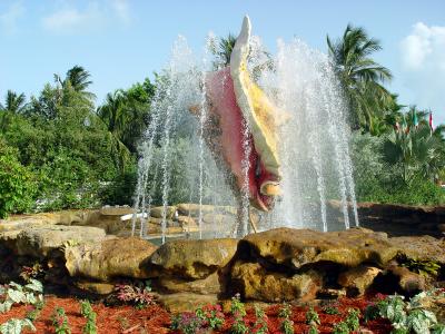 Giant Conch by Danny Doris