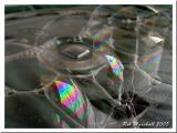 Im forever blowing bubbles...