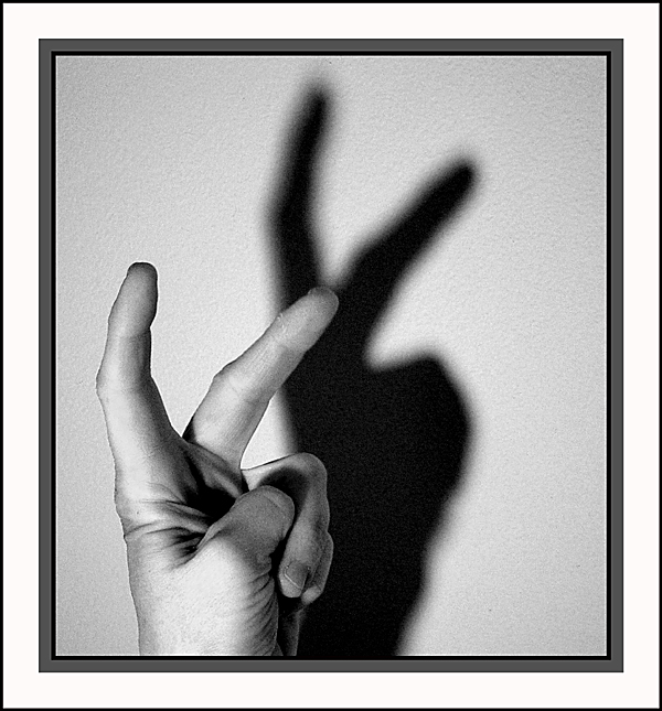 Shadowy Transformation<br>(B&W Version)<br>by Deb