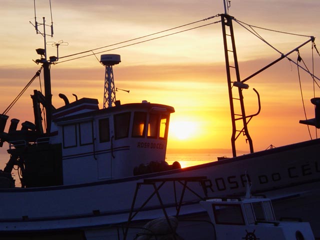 <p align=center> <b> Boat Silhouette </b> <br> <font size=1> by Pedro Teixeira </font> </p>