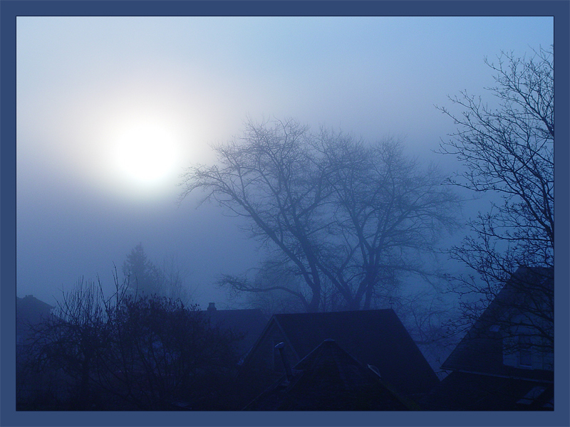 <B>Morning Fog</B><BR><FONT size=2>by Ann Chaikin</FONT>