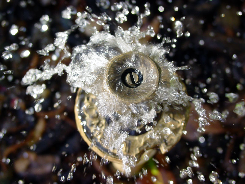*Circle of Water by Debbi in California