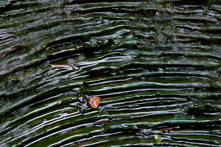 <B>Fountain Macro</B><BR><FONT size=1>by David Pichevin</FONT>