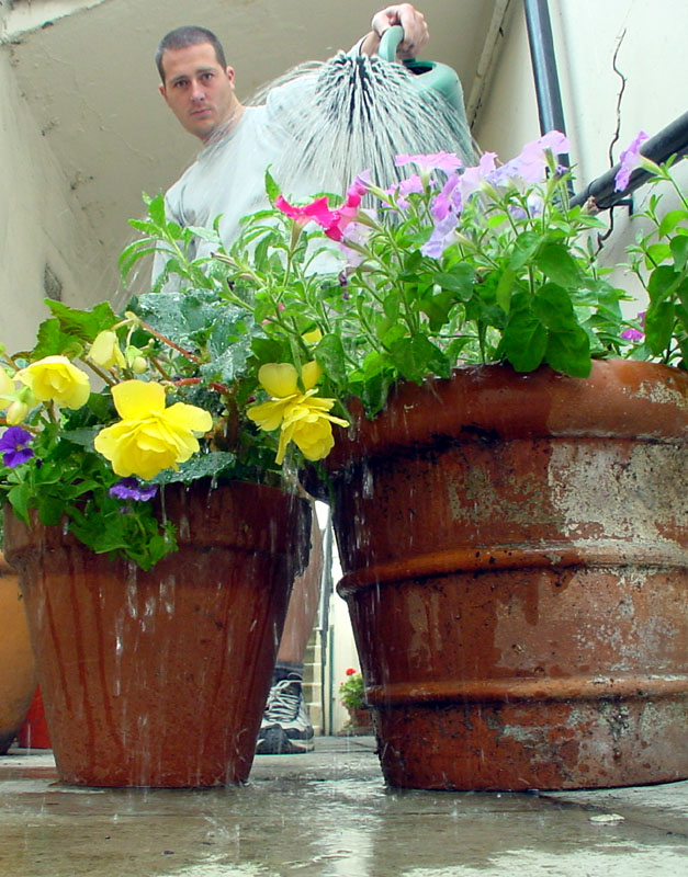 <B>Watering</B><BR><FONT size=1>by Jon Mold</FONT>