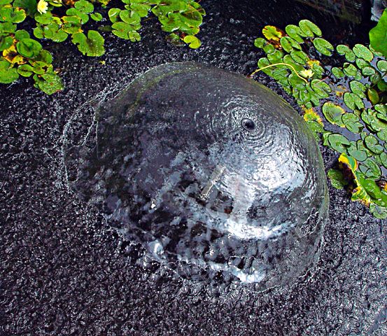 <p align=center><b>Bubble Fountain</b><br><font size=1> by Faye White</font></p>