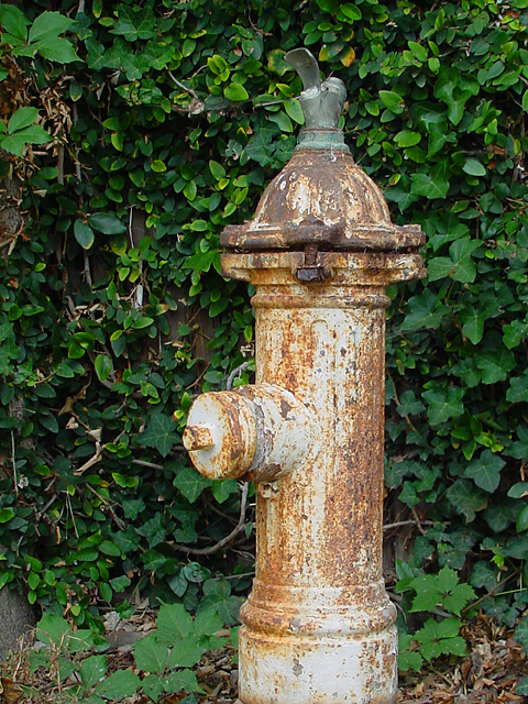 Dry Fountain by Peggy