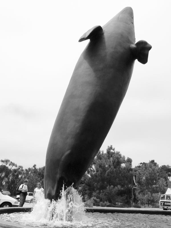 <b>B&W Whale</b><br><font size = 1>by bbzippo</font>