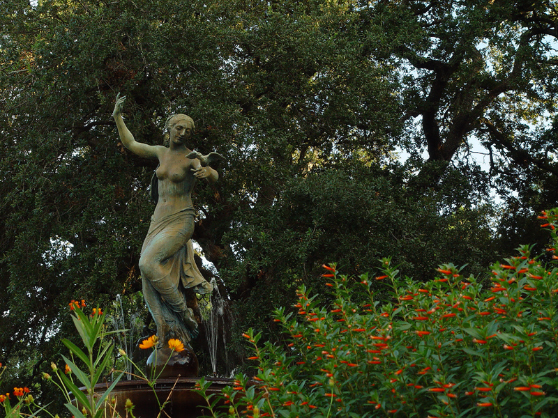 <B>Audubon Park #1</B><BR><FONT size=1>by Jason Bornstein</FONT>