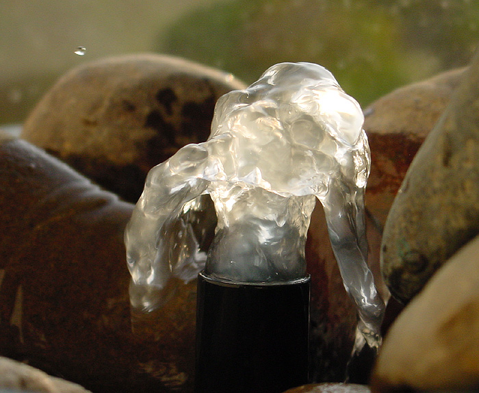 Water Action by Dee Golden