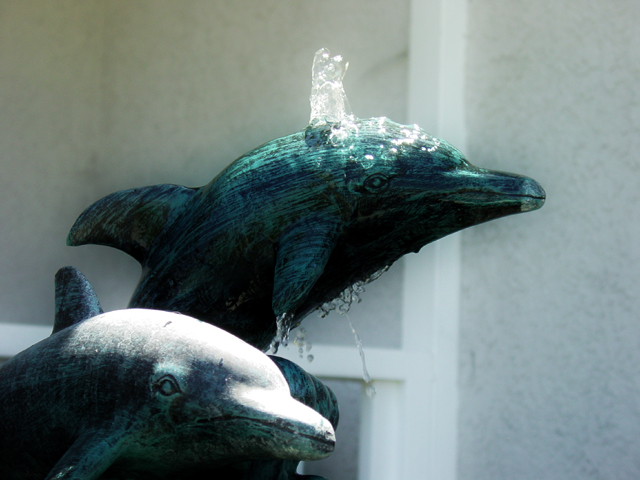 dolphin fountain by Peggy