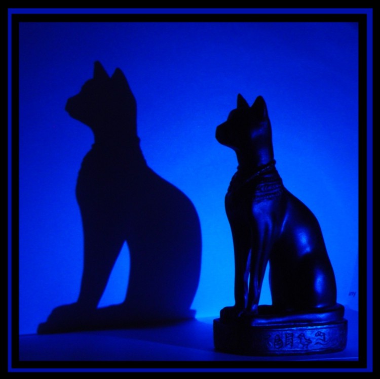 Egyptian Cat*