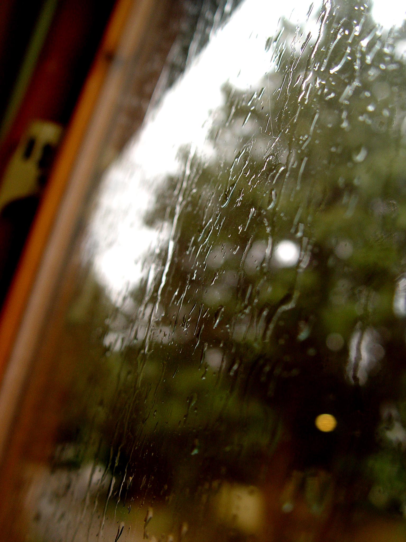 <b>Rainy Days<b><br><font size=1>by  Scott Wright (<a href=http://www.pbase.com/scooter41/>scooter41</a>)</font>