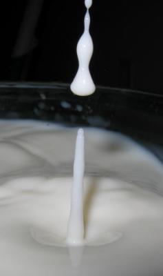 milk.JPG