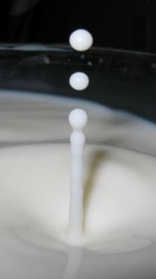 milk1.JPG