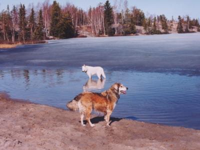 long lake folk on the rocks 01park 1.jpg