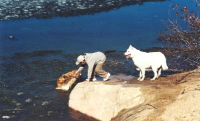 a boy and his dogs a.jpg