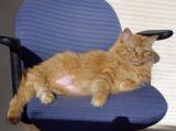 DSC03804.jpg