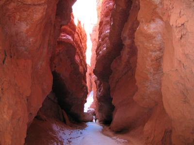 u13/termite/medium/11174774.bryce0073.jpg