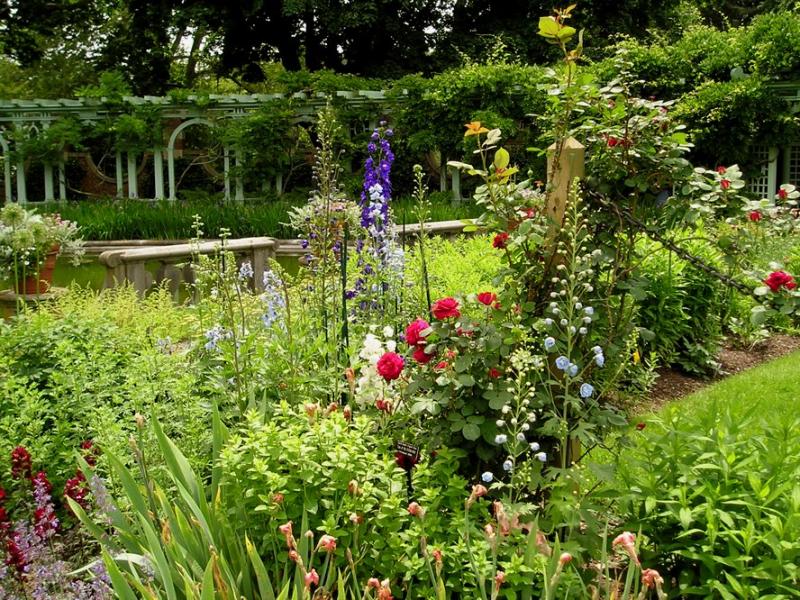 Westbury flower display